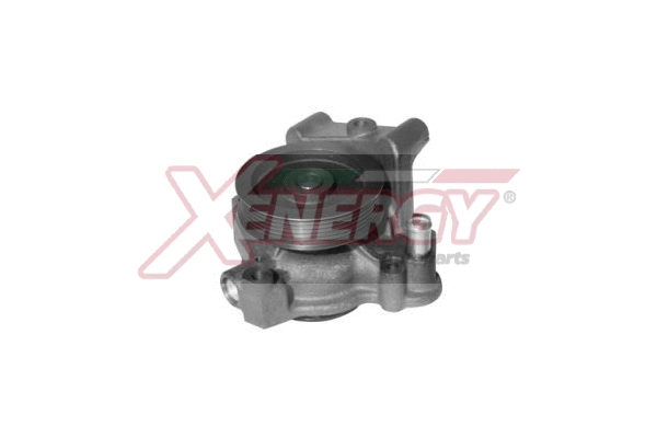 Pompe à eau, refroidissement du moteur AP XENERGY X208068