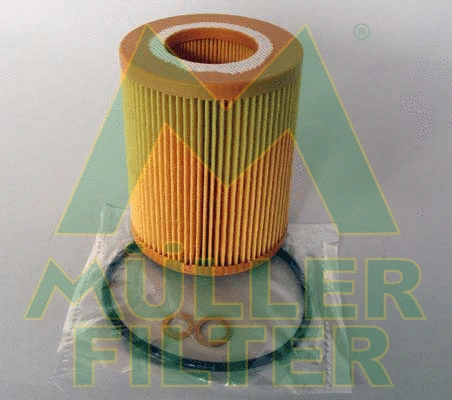 Filtre à huile MULLER FILTER FOP205