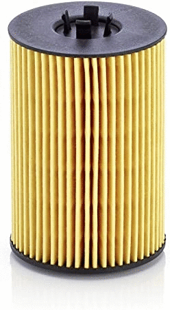 Filtre à huile MTR 12138246