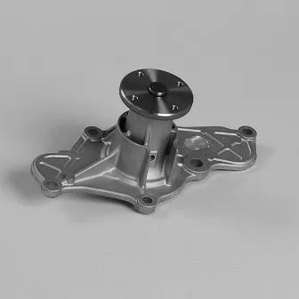 Pompe à eau, refroidissement du moteur GK 987116