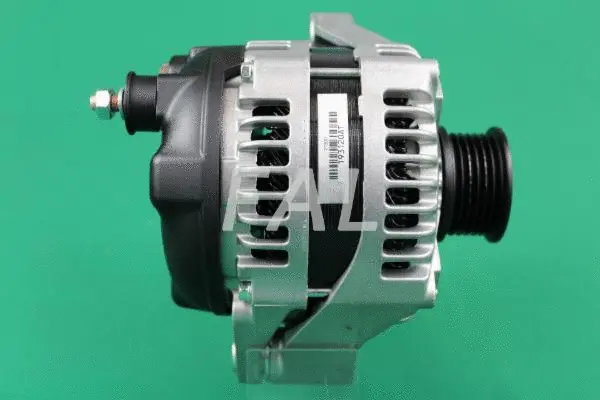 Alternateur FAL Anlasser- und Lichtmaschinenservice F013887/2