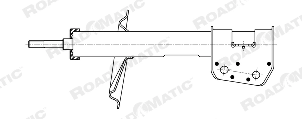 Amortisseur Roadmatic 401038RM