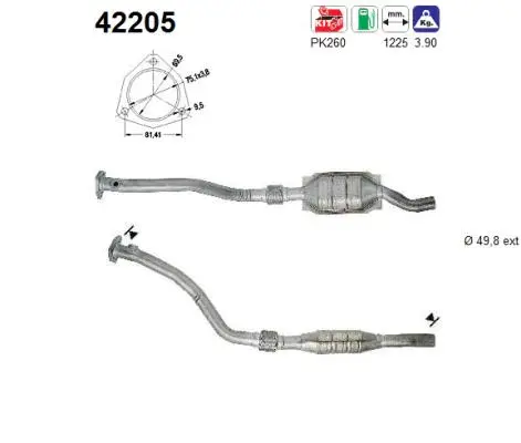 Catalyseur AS 42205