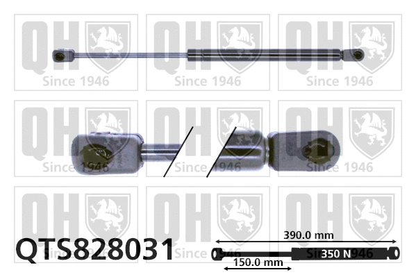 Vérin de hayon, de coffre QUINTON HAZELL QTS828031
