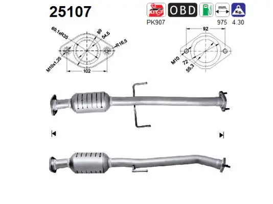 Catalyseur AS 25107
