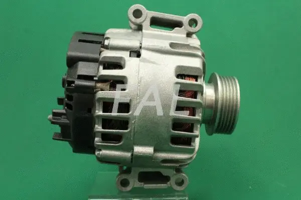 Alternateur FAL Anlasser- und Lichtmaschinenservice F014976/1