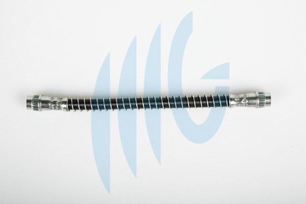 Flexible de frein RICAMBIFLEX GM 02380527