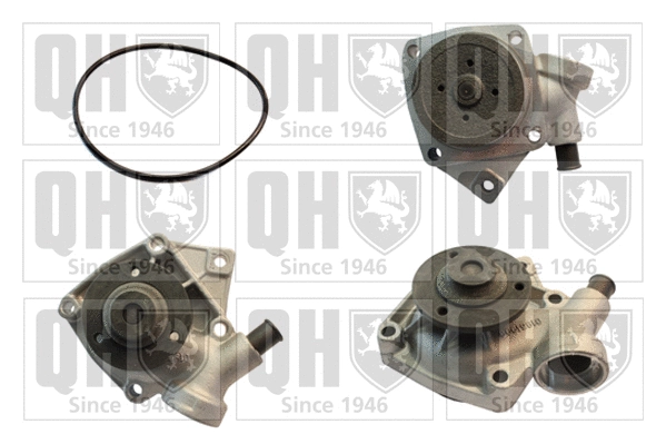 Pompe à eau, refroidissement du moteur QUINTON HAZELL QCP3102