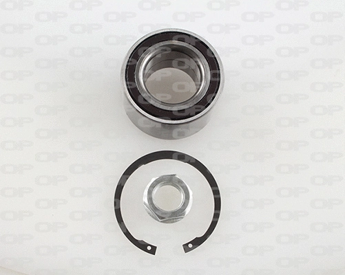 Kit de roulements de roue OPEN PARTS HBK5183.01