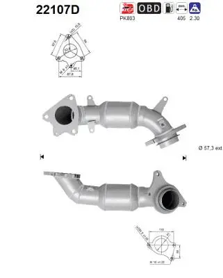 Catalyseur AS 22107D