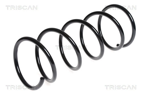 Ressort de suspension TRISCAN 8750 13203