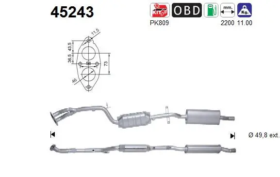 Catalyseur AS 45243