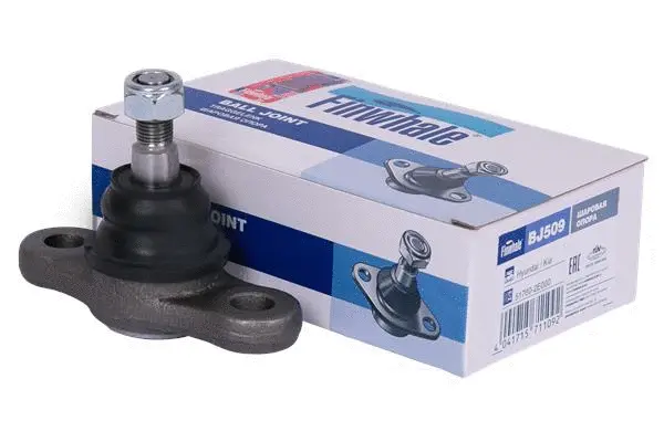 Rotule de suspension FINWHALE BJ509