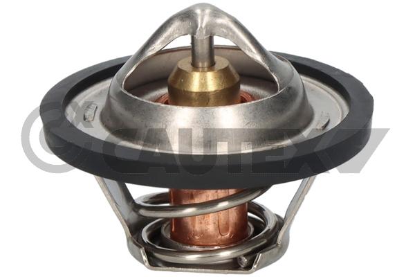 Thermostat, liquide de refroidissement CAUTEX 770204