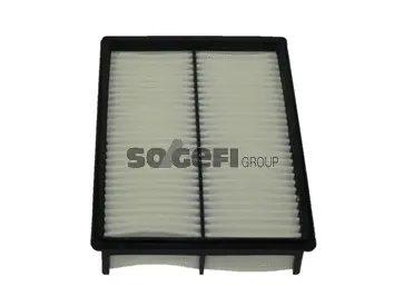 Filtre à air FRAM CA9898