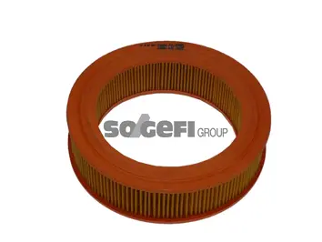 Filtre à air FRAM CA4285