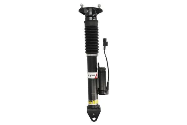 Amortisseur Magnum Technology APM006MT