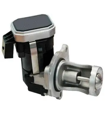 Vanne EGR ASSO 70.0146