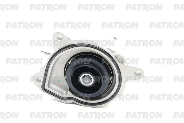 Pompe à eau, refroidissement du moteur PATRON PWP1717
