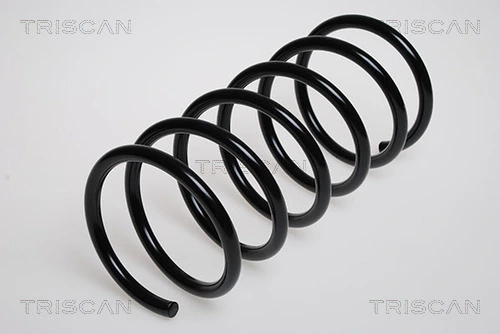 Ressort de suspension TRISCAN 8750 4305