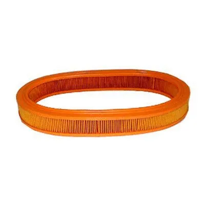 Filtre à air FI.BA FA-3160