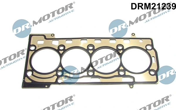 Joint, culasse LIZARTE DRM21239
