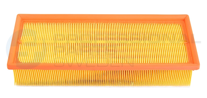 Filtre à air Professional Parts 24429620