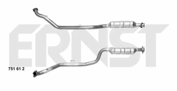 Catalyseur ERNST 751612