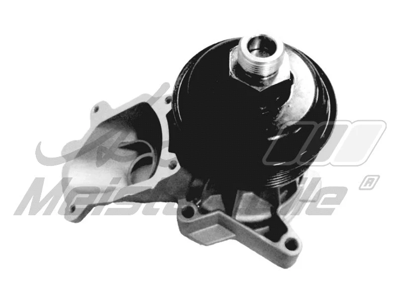 Pompe à eau, refroidissement du moteur A.Z. Meisterteile AZMT-30-100-1147
