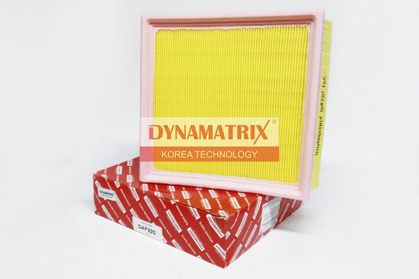 Filtre à air DYNAMATRIX DAF220
