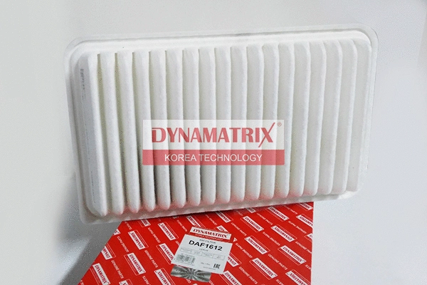 Filtre à air DYNAMATRIX DAF1612