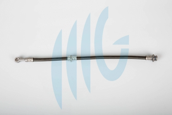Flexible de frein RICAMBIFLEX GM 02520964