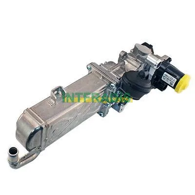 Vanne EGR INTFRADIS 2594