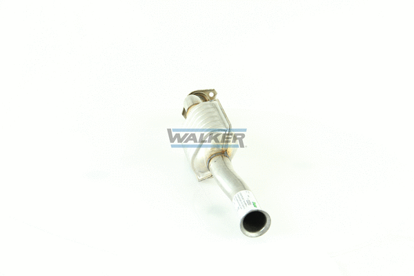 Catalyseur WALKER 20255