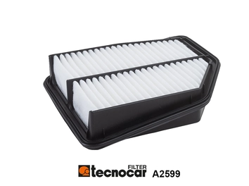 Filtre à air TECNOCAR A2599