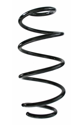 Ressort de suspension SPIDAN 87520