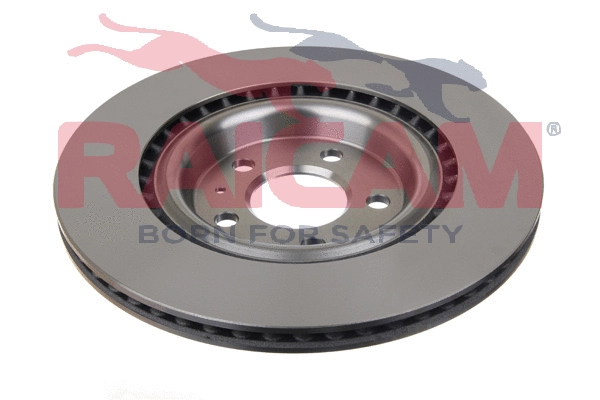 Disque de frein RAICAM RD01209
