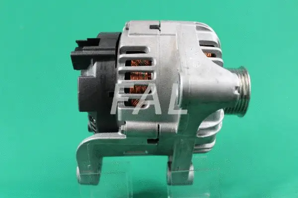 Alternateur FAL Anlasser- und Lichtmaschinenservice F000601/1