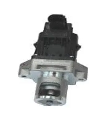 Vanne EGR ASSO 70.0139