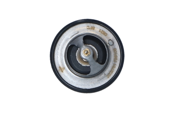 Thermostat, liquide de refroidissement WILMINK GROUP WG2184728