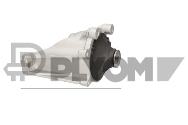 Support moteur PLYOM P776194