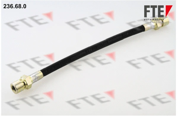 Flexible de frein FTE 9240004