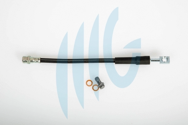 Flexible de frein RICAMBIFLEX GM 02020142