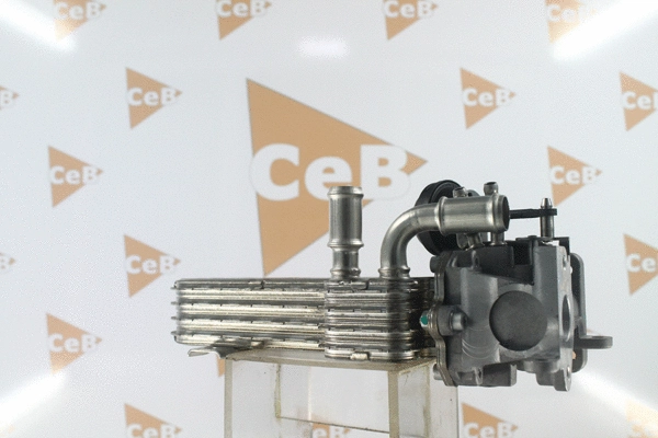 Radiateur, réaspiration des gaz d'échappement DA SILVA GR7024