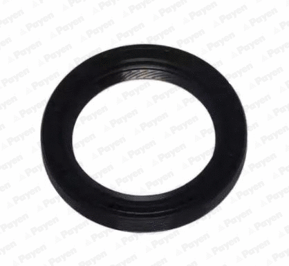 Bague d'étanchéité, vilebrequin PAYEN NA5306