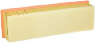 Filtre à air Fram-Au CA9315