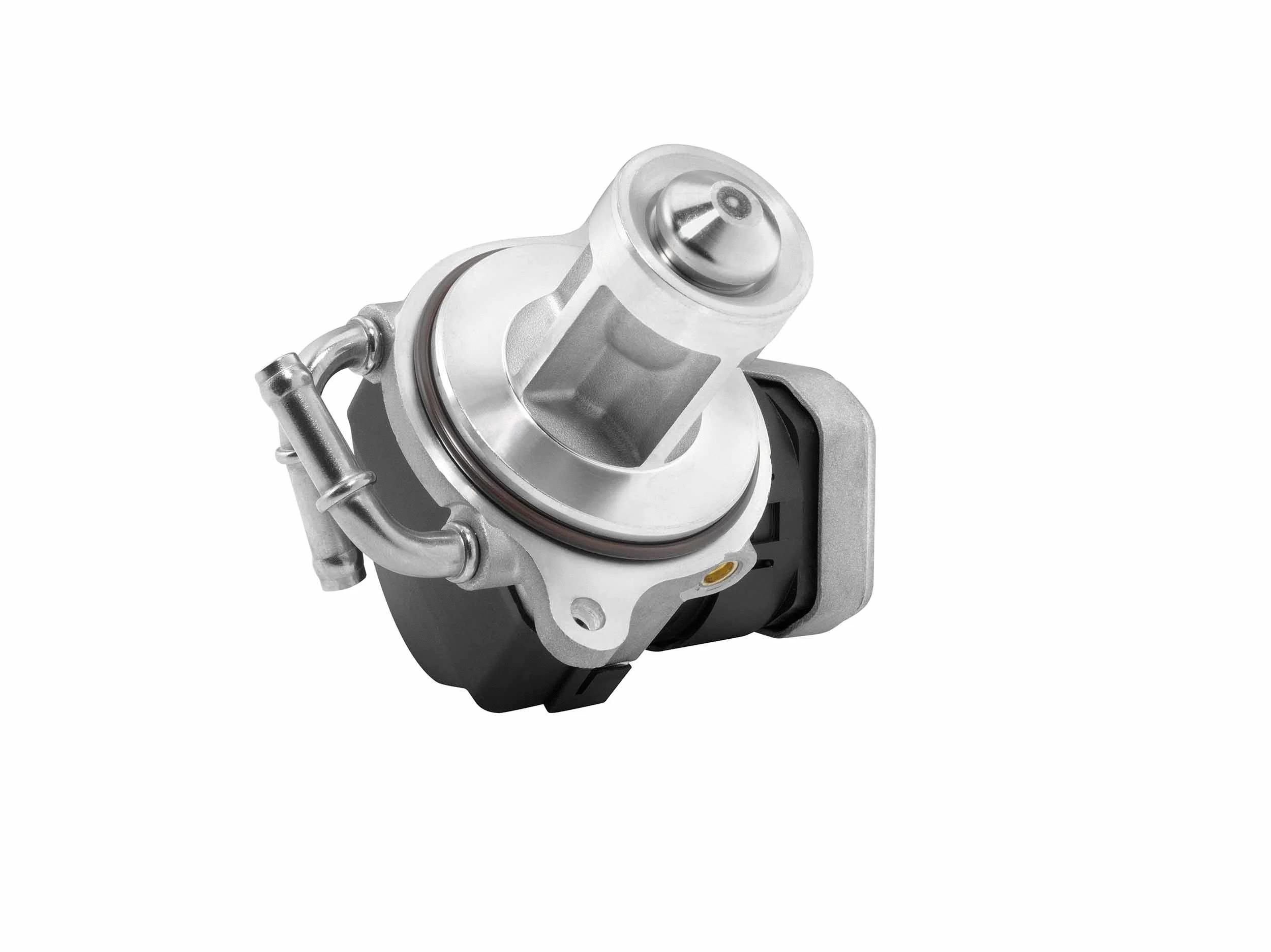 Vanne EGR BorgWarner 7504D/1