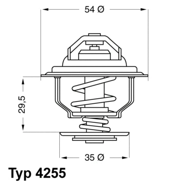 Thermostat, liquide de refroidissement BorgWarner (Wahler) 4255.92D