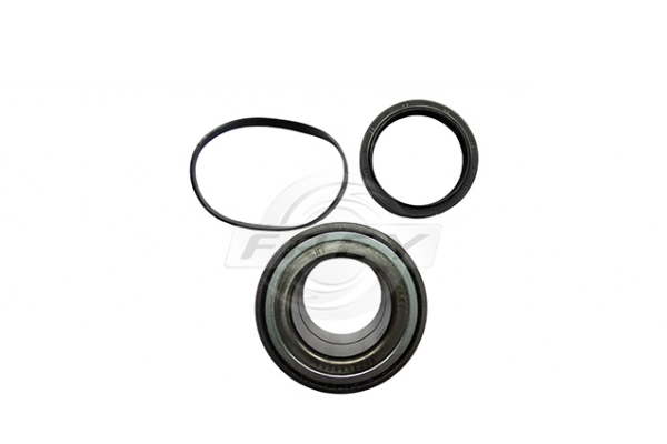 Kit de roulements de roue FREY 765601001