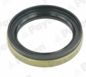 Bague d'étanchéité, moyeu de roue PAYEN NJ880